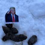 image for Seen in Anchorage, Alaska