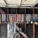 image for M 53 and F 52 humble brag. We finally got around to creating a display for our combined medals.
