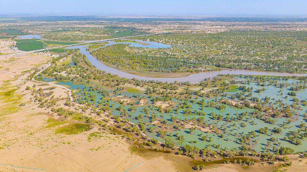 image for China has planted so many trees around the Taklamakan Desert that it's turned this 'biological void' into a carbon sink