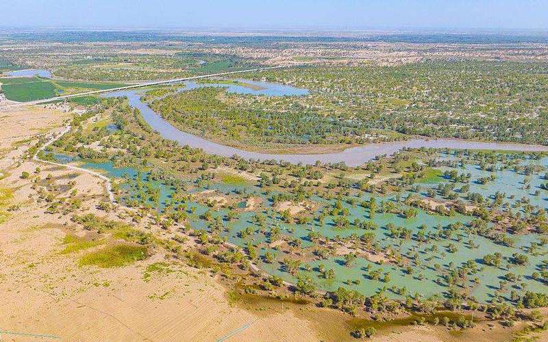 image for China has planted so many trees around the Taklamakan Desert that it's turned this 'biological void' into a carbon sink