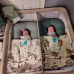 image for Kids are finally home from the NICU