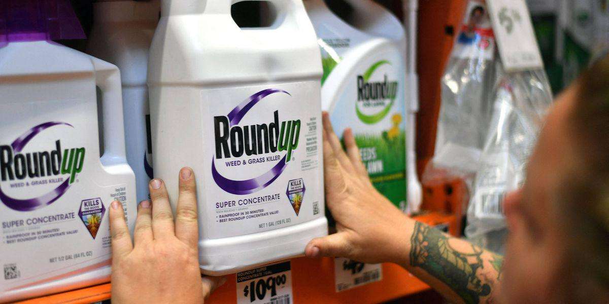 image for After Promising to 'Make America Healthy Again,' Trump Mandates Production of Cancer-Causing Glyphosate