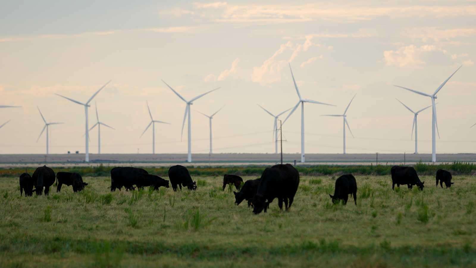 image for Despite Trump, renewable energy keeps surging