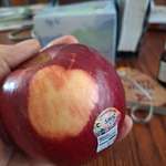 image for OC Apple self-portrait