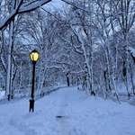 image for Central Park after the blizzard.
