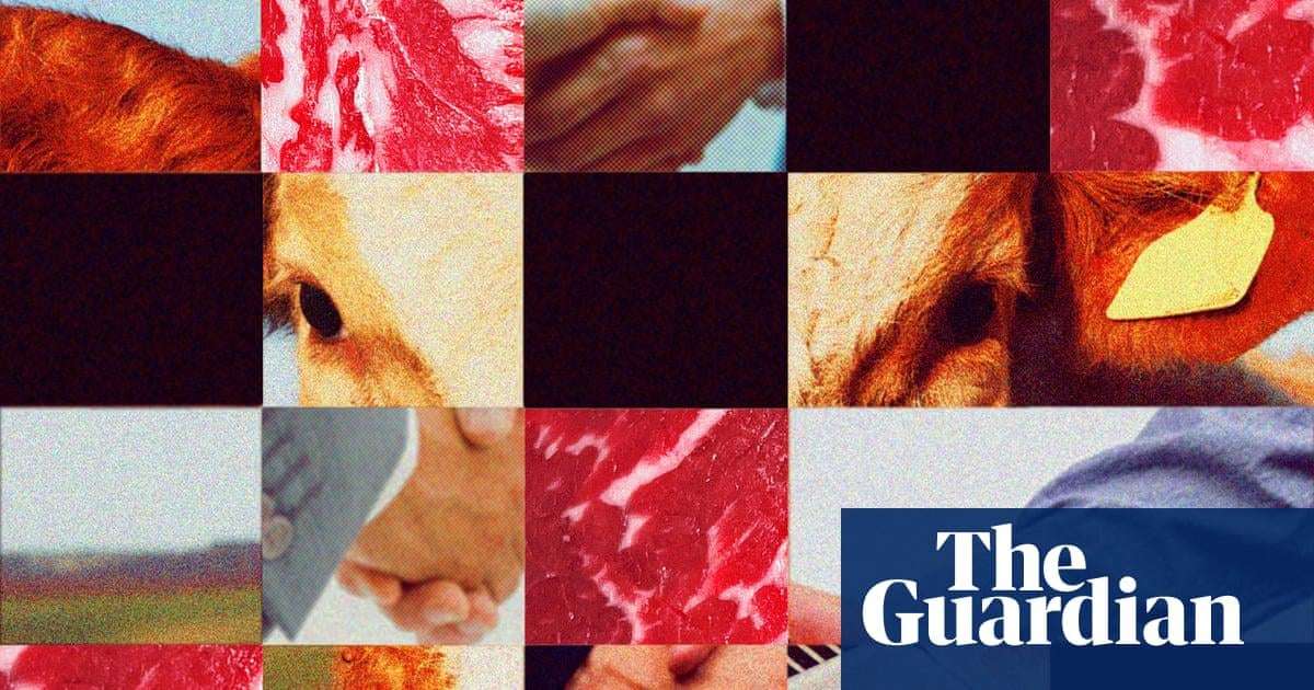 image for ‘Big Four’ meatpackers under fire as beef prices soar