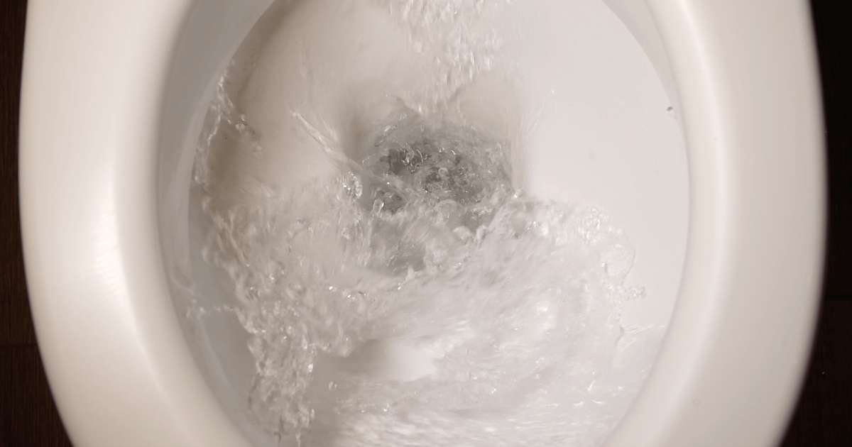 image for Inventor of 'Squatty Potty' charged with possessing child sexual abuse images