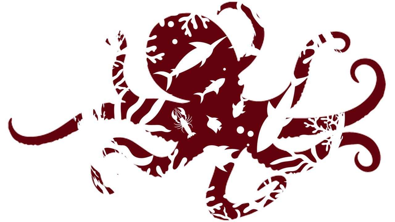 image for Mexico Introduces Legislation to Federally Ban Octopus Farming