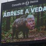 image for The city council of Oleiros (Galicia, Spain) invites to hunt the “boar” Trump