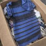 image for Where can you even find a nice white and gold dress these days
