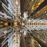 image for Ceiling of the Sagrada Família