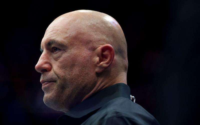 image for Joe Rogan says Trump, 79, 'doesn't have much to lose' because he is about to die soon