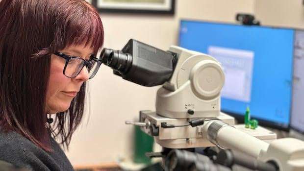 image for B.C. hires more than 400 U.S. health-care workers in 1-year recruitment blitz