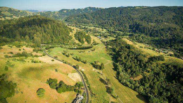 image for The rewilded golf courses teeming with life