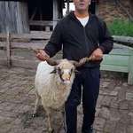 image for [OC] This ram is 12 years old and is my father's best friend.