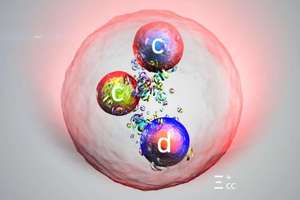 image for 