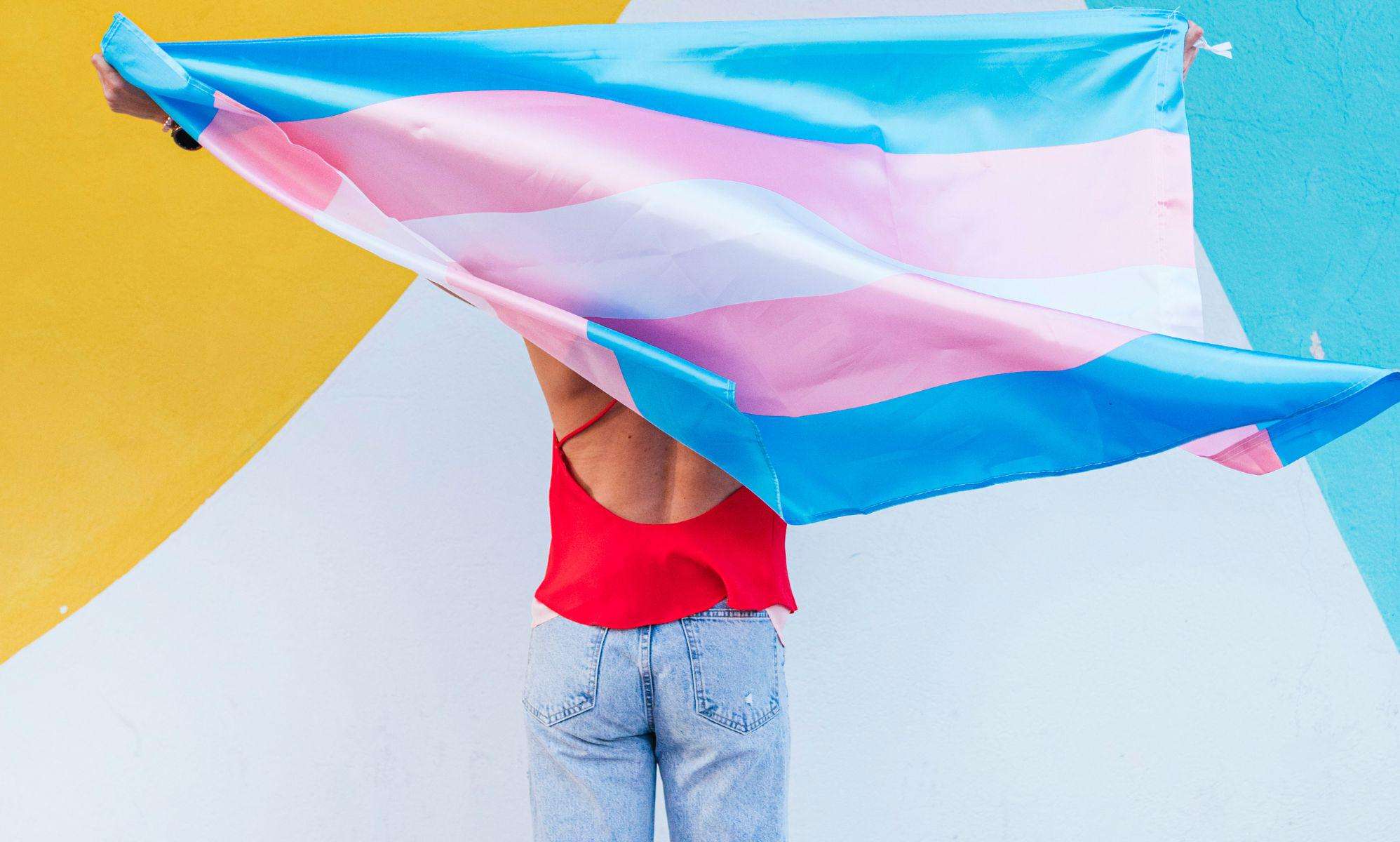 image for Tennessee GOP advances bill that would create public list of trans residents