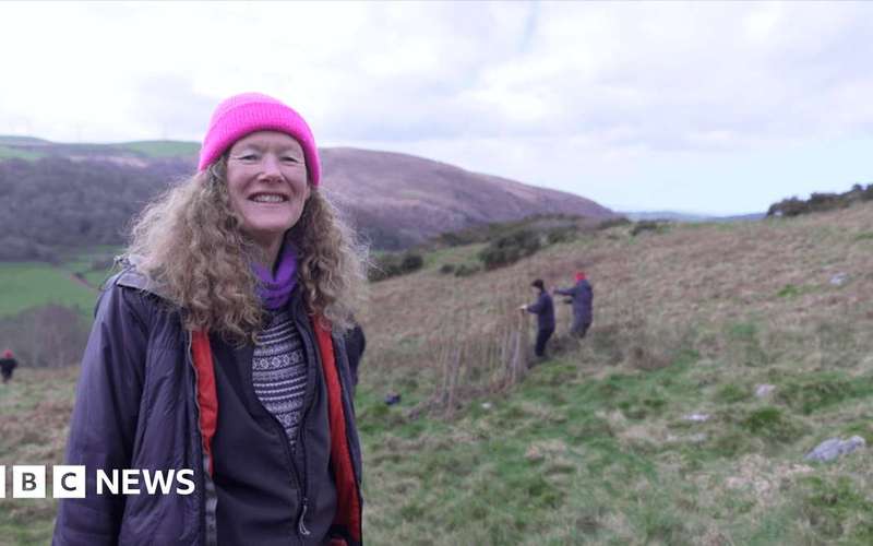 image for Ceredigion villagers plant 50,000 trees to try to save their homes from flooding