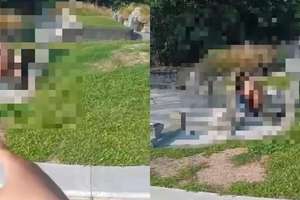 image for 