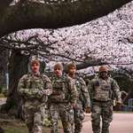 image for [OC] The cherry blossoms in Occupied DC are magical 🌸