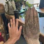 image for This yam shaped like a human hand