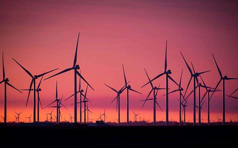 image for European country vows to give homeowners ‘free electricity' instead of switching off wind turbines