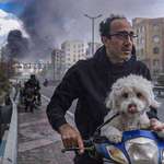 image for A man and his dog fleeing bombs in Tehran (Photo by Pooria Hatami)