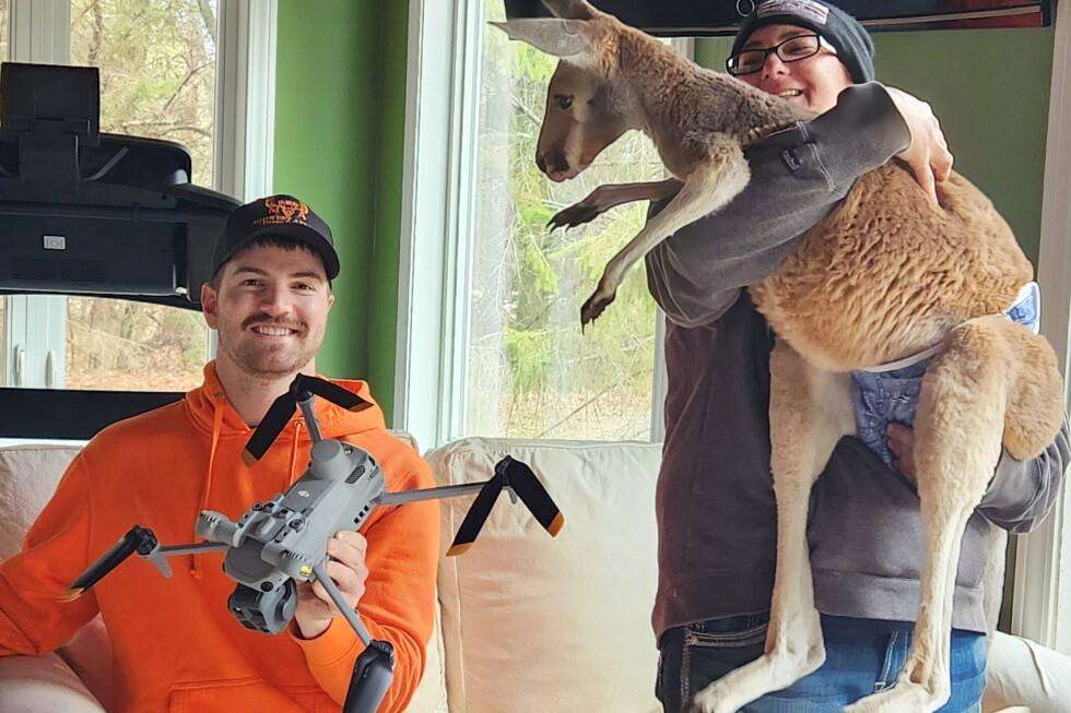 image for Chesney the kangaroo scales tall fence and flees petting zoo for three days on the lam