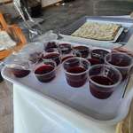 image for My family made Manischewitz jello shots for Passover. As is tradition [OC]
