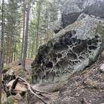 image for [OC] A strange rock formation I found deep in the forest.