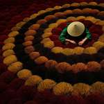 image for I shot this photo at an incense village in Hanoi, Vietnam (OC)