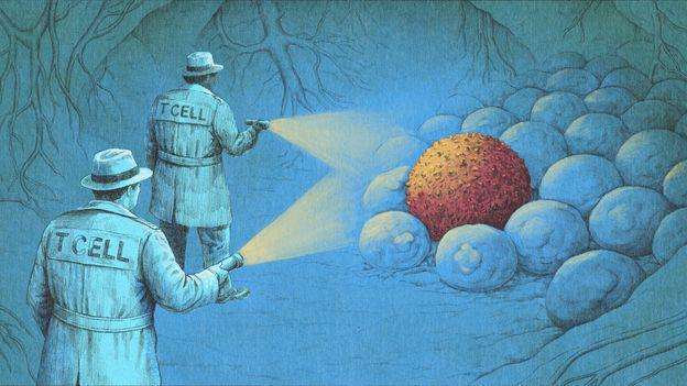 image for 'It's incredible, like science fiction': How a new wave of immunotherapy is eliminating cancers