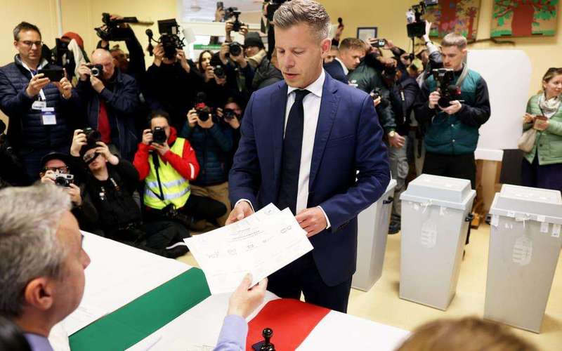 image for Hungary's Prime Minister Orban concedes election, congratulates Magyar