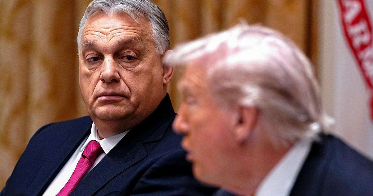 image for Trump denies involvement in Orbán’s failed re-election bid, despite his involvement