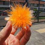 image for [OC] I grew this spiky cluster of crystals from a type of fertilizer called monoammonium phosphate