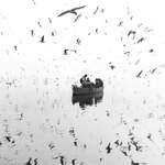 image for [OC] Shot on my phone at Yamuna Ghat, Delhi. The birds didn’t stop for a second.