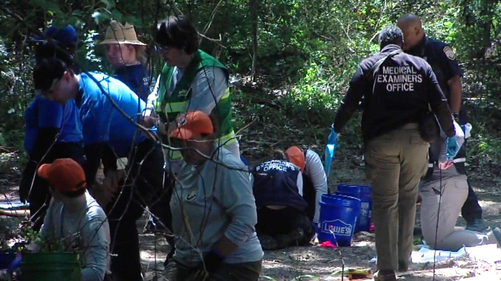 image for Human remains belonging to multiple young children found in Memphis: Police