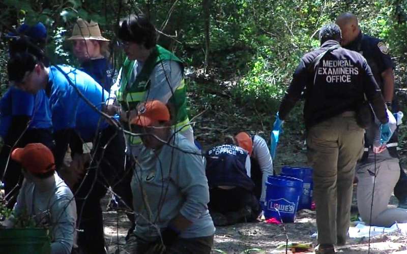image for Human remains belonging to multiple young children found in Memphis: Police