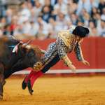image for Morante de la Puebla — known as the “King of Bullfighters” receives bull horn in rectum