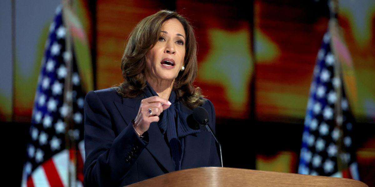 image for 'The Truth Is Better Than Continuing to Lose': Petition Demands DNC Release Autopsy of 2024 Defeat