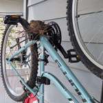 image for [OC] Bird makes nest on the bike my partner assured me would see regular use.