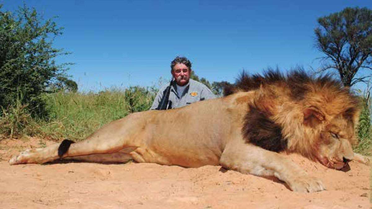 image for Millionaire US big game hunter, 75, is trampled to death by five elephants while hunting antelope in central Africa