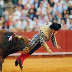 image for Morante de la Puebla - known as the "King of Bullfighters" receives bull horn in rectum