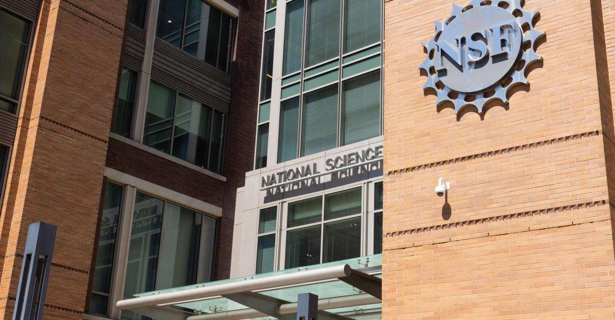 image for Trump fires the entire National Science Board