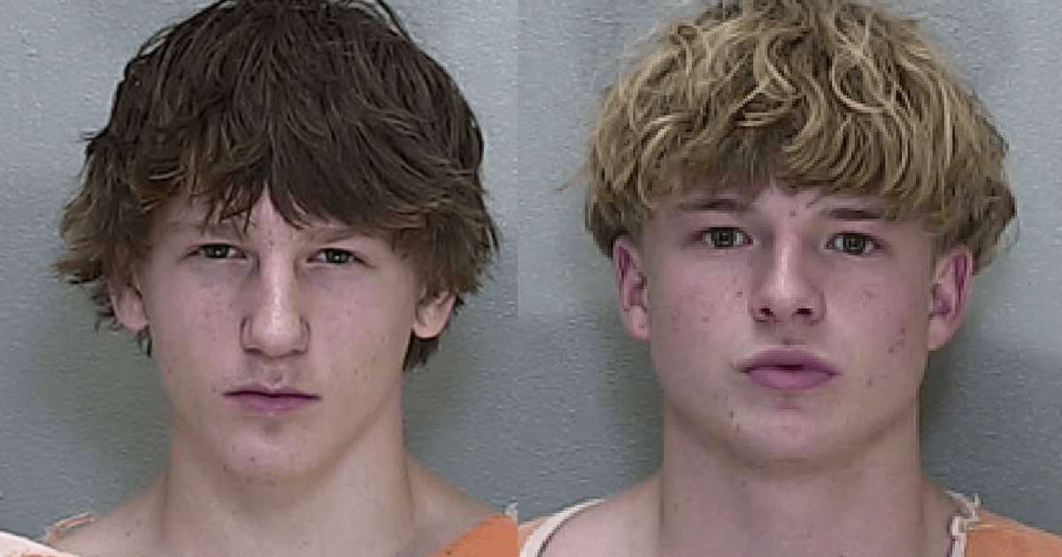 image for 2 Florida teens arrested after riding lawnmower through Target, officials