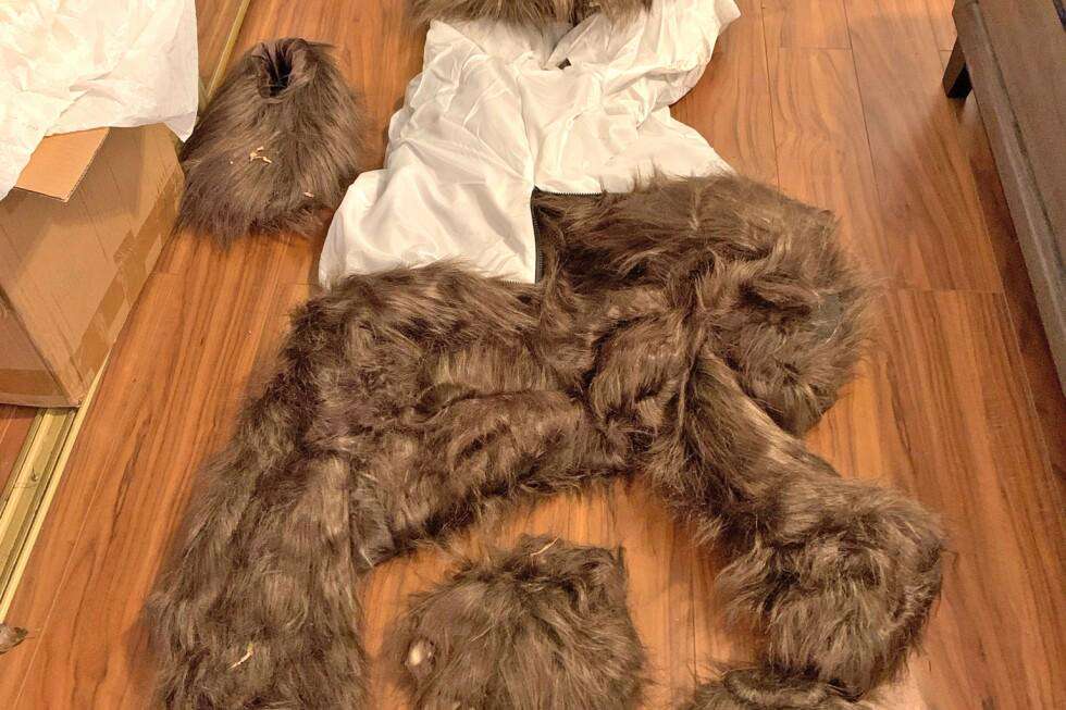image for California bear-suit luxury car scam ends in insurance fraud sentences for 3