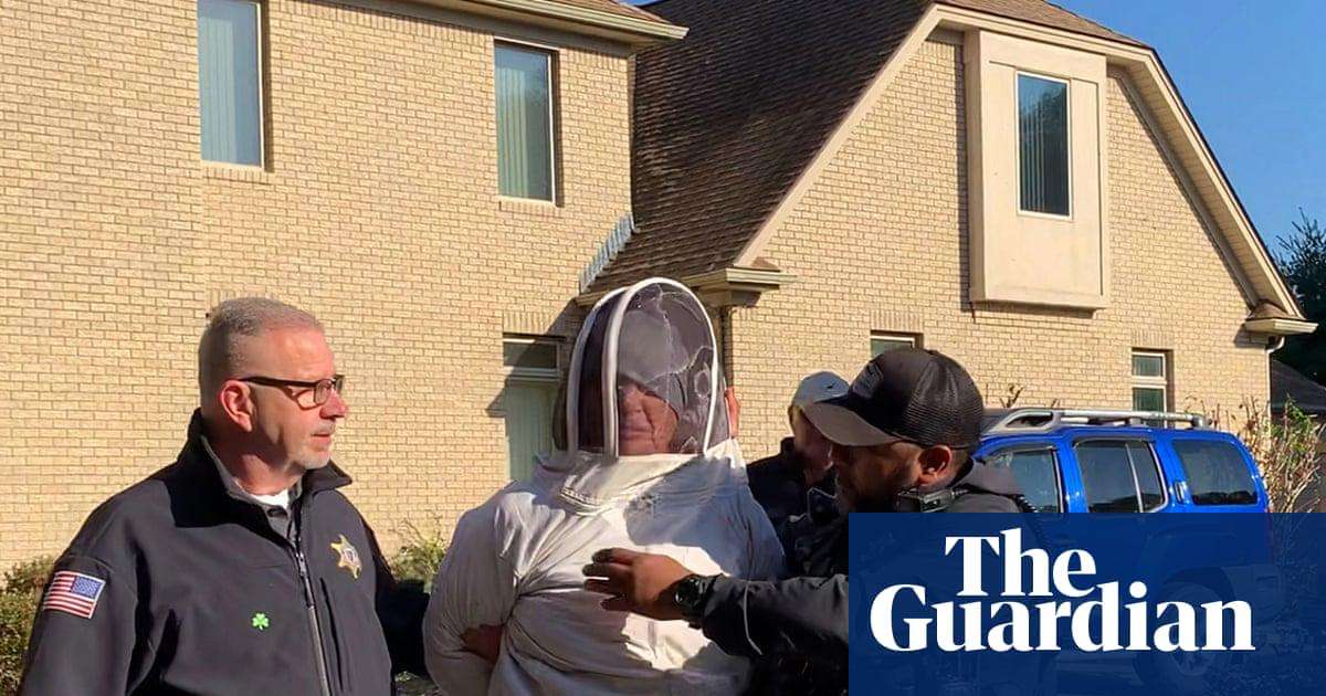 image for ‘She’s opening the bees!’ US beekeeper jailed for trying to save friend from eviction