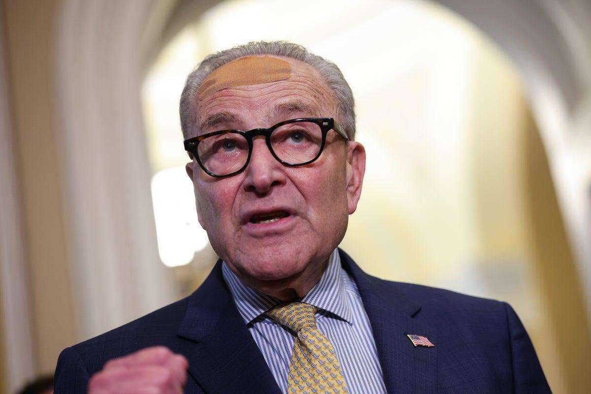 image for Step off, Chuck! Democrats stunningly warn Schumer to stay out of races after Maine Mills meltdown