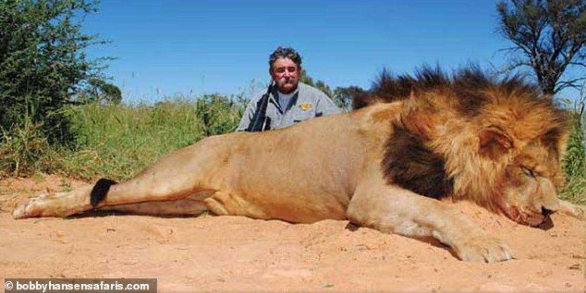 image for California Hunter Killed By Elephants In Gabon - Western Washington News & Lifestyle