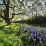 image for Spring in Sussex UK  [OC]